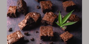 Edible Dosage Affects