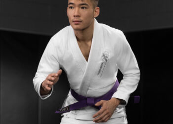 The Legacy of Hayabusa in Martial Arts