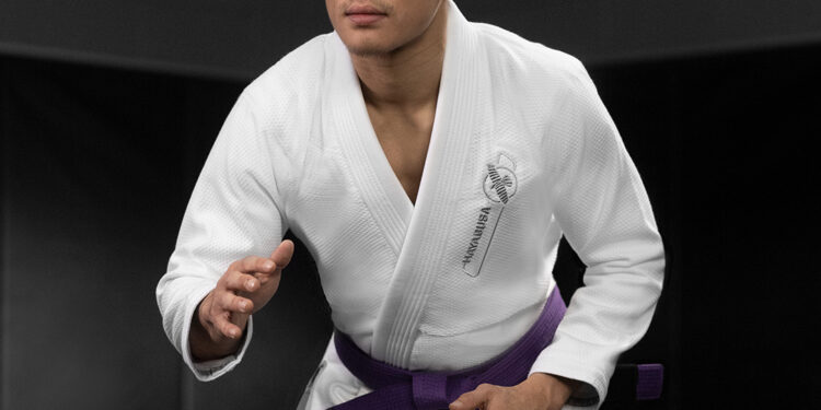 The Legacy of Hayabusa in Martial Arts