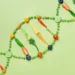 How DNA-Based Health Recommendations Are Changing the Way We Take Care of Ourselves