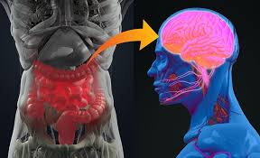 The Gut–Brain Connection: How Stress Affects IBS and What You Can Do About It