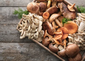 Why Organic Functional Mushrooms Are Gaining Attention in Natural Health