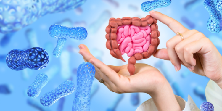 Gut Health