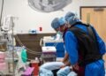 Spine Consultation